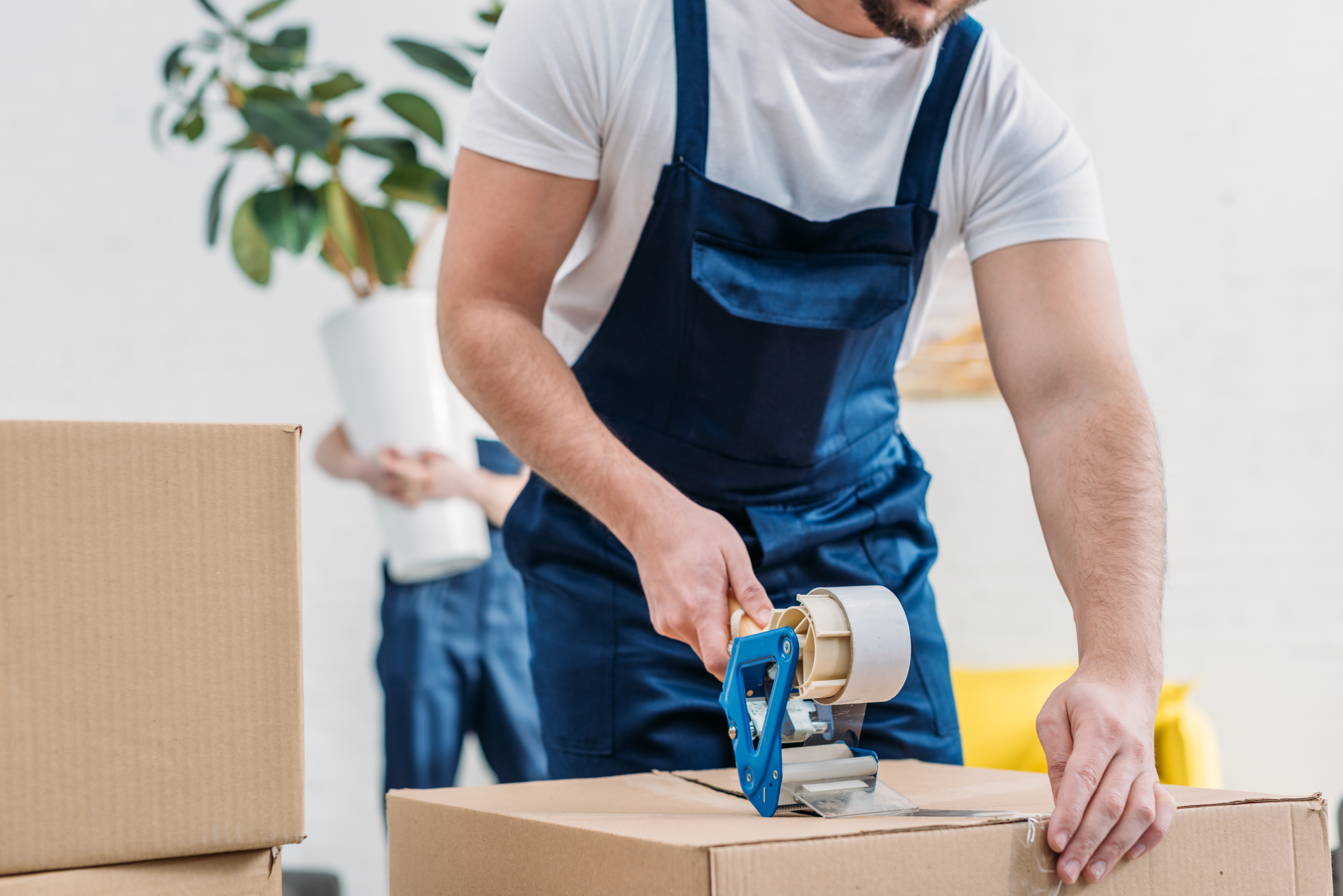 Mover Packing