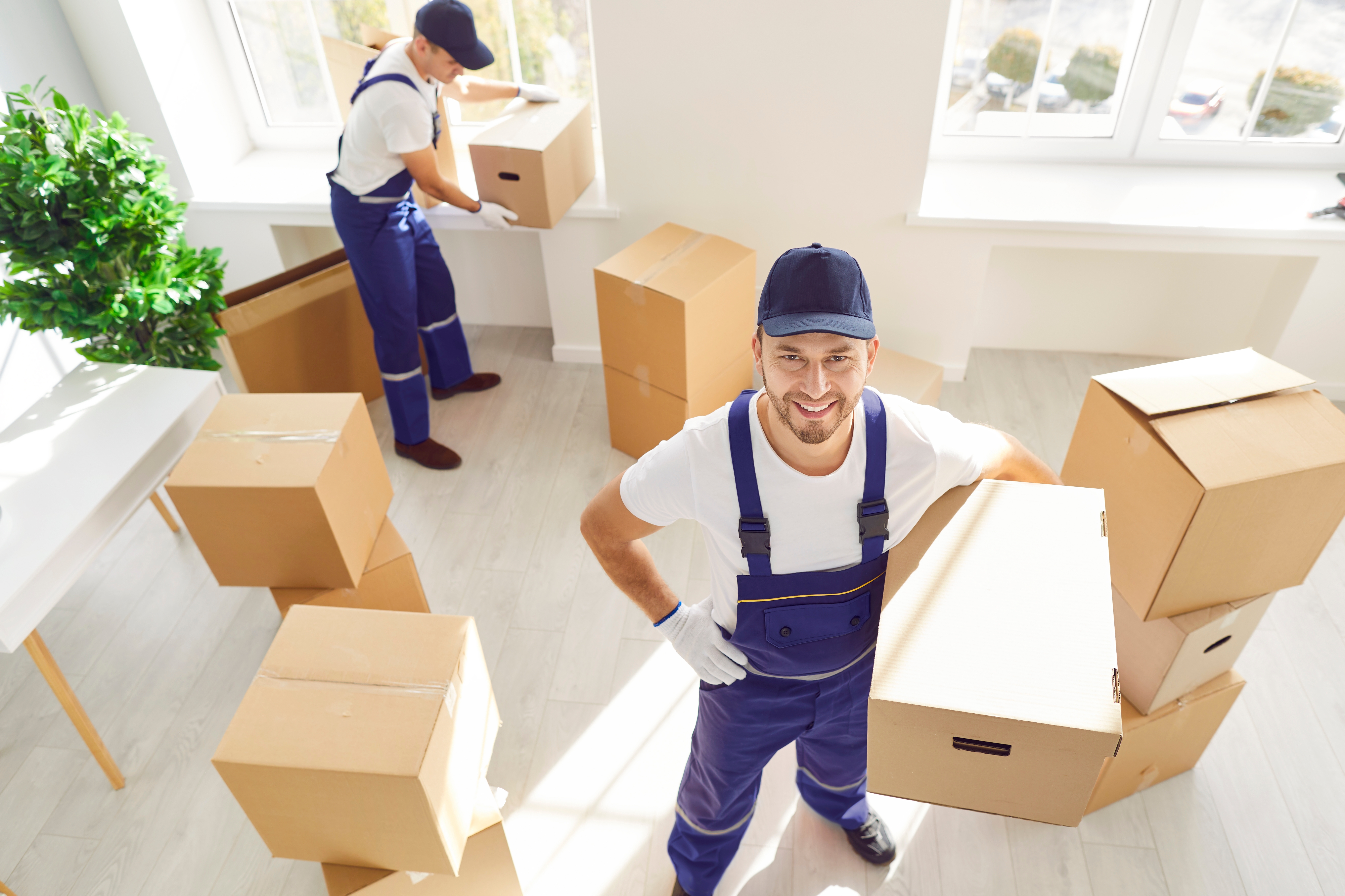 Two movers in blue uniforms and caps carry boxes in a bright room with a wooden floor and a plant. They appear cheerful and focused.